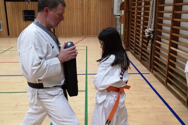 inden der slås skal der lige tænkes på det man har lært i taekwondo klubben hwa rang Aarhus