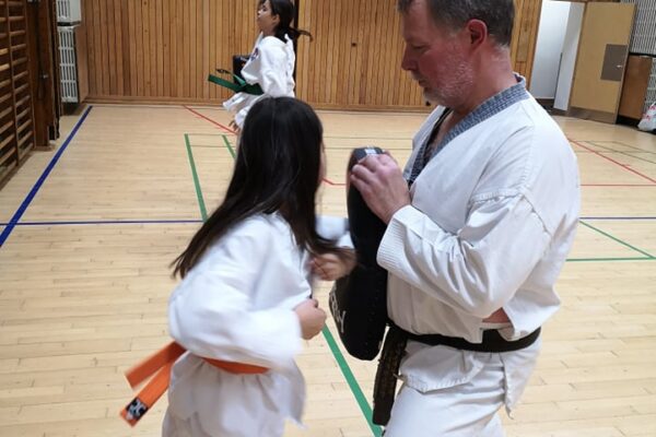 Der øves slag i taekwondoklubben Hwa Rang Aarhus