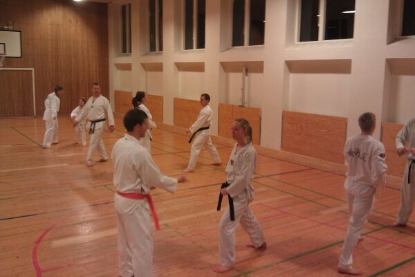 Hwa Rang taekwondo Aarhus træning