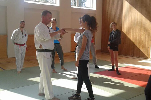 Hwa Rang taekwondo Aarhus træning