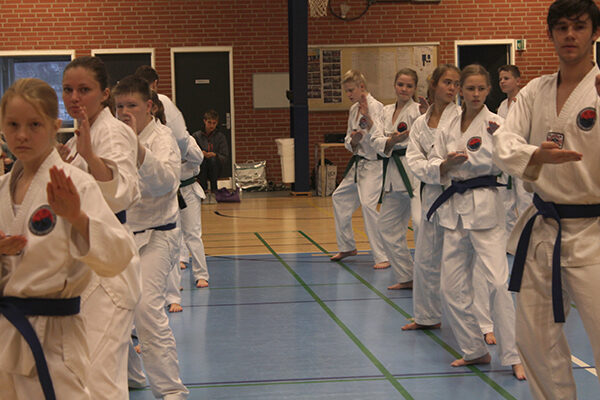 Hwa Rang taekwondo træning