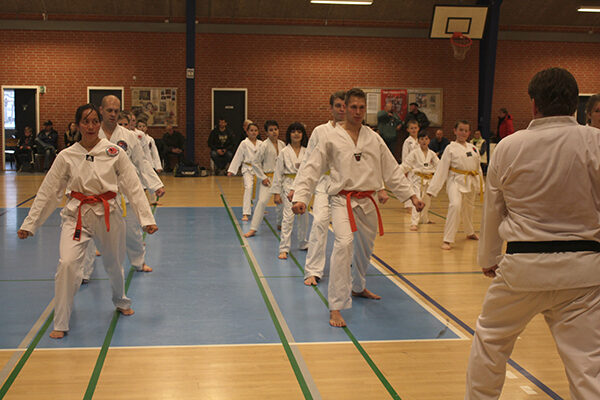 Hwa Rang taekwondo alminelig træning