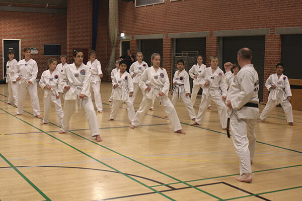 Hwa Rang taekwondo almindelig træning