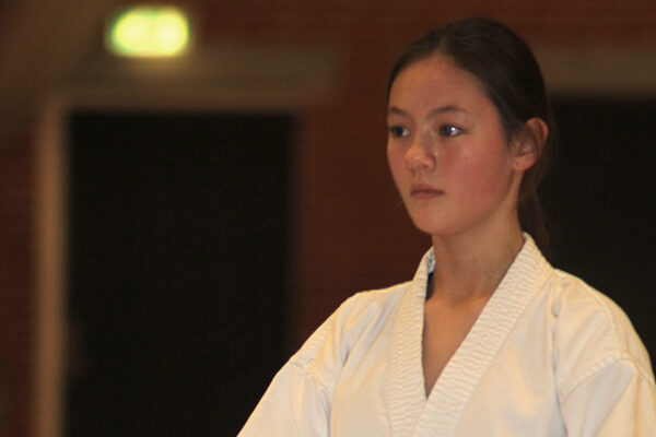 Hwa Rang taekwondo