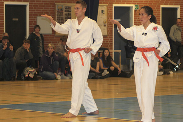 Hwa Rang taekwondo Taegeuk øvelser