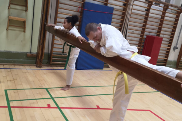 Der trænes ikke teakwondo uden at man også strækker ud