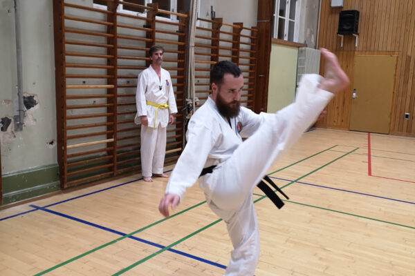 Vores sabumnim viser hvordan det skal gøres