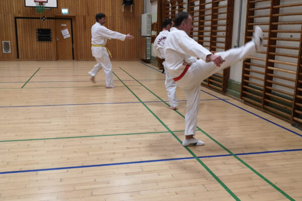 igen trænes der forskellige teakwondo øvelser